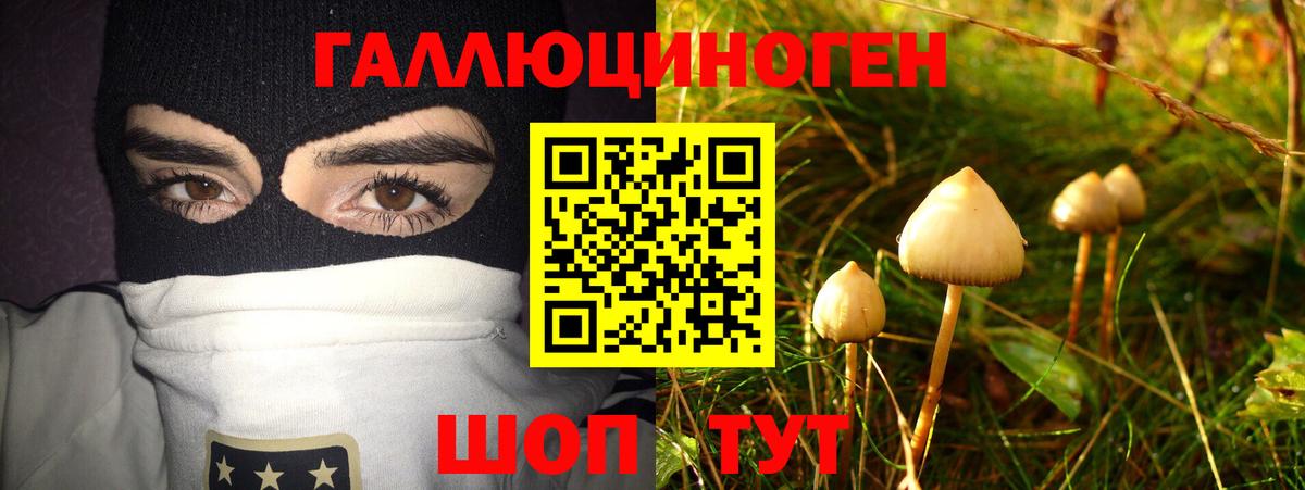 Псилоцибиновые грибы мицелий  Вход с VPN  Вышний Волочёк  Псилоцибиновые грибы MAGIC MUSHROOMS 